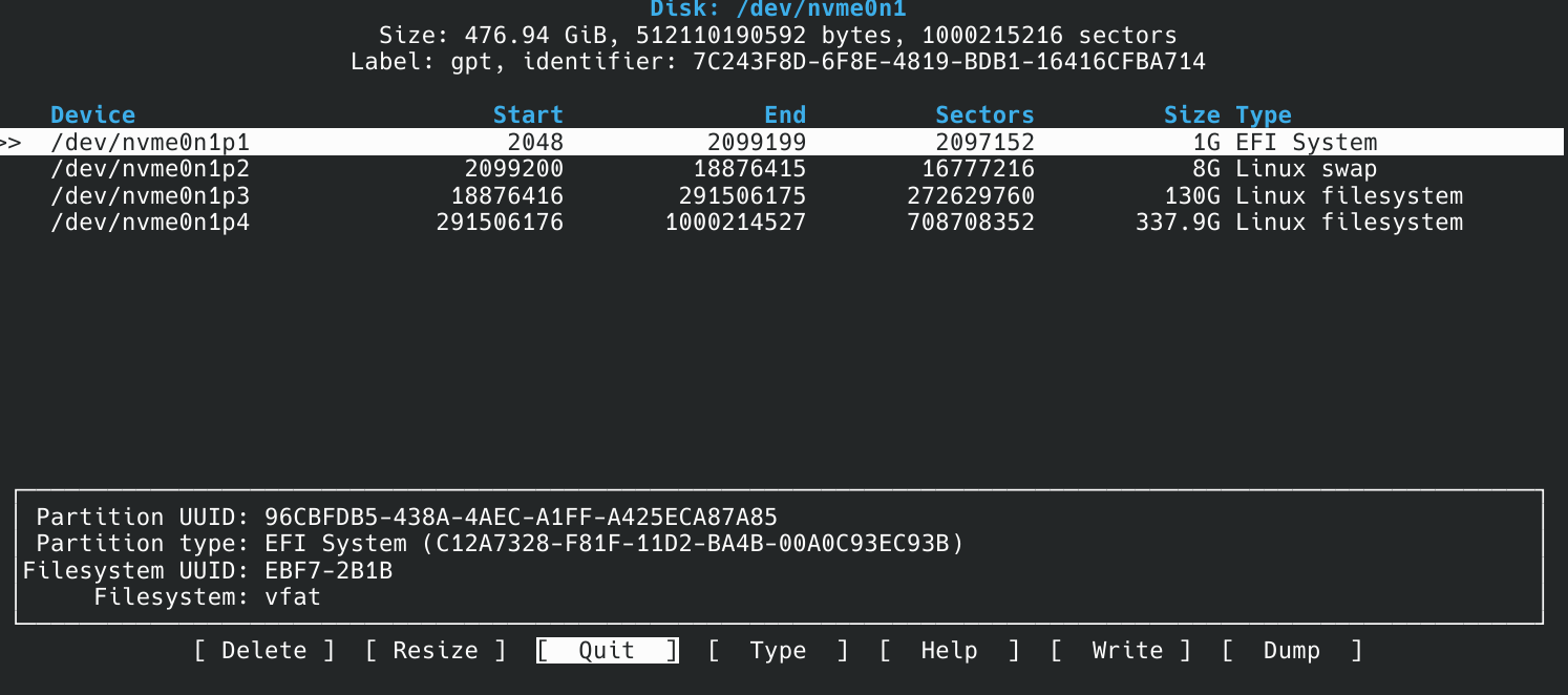Existing partitions in cfdisk