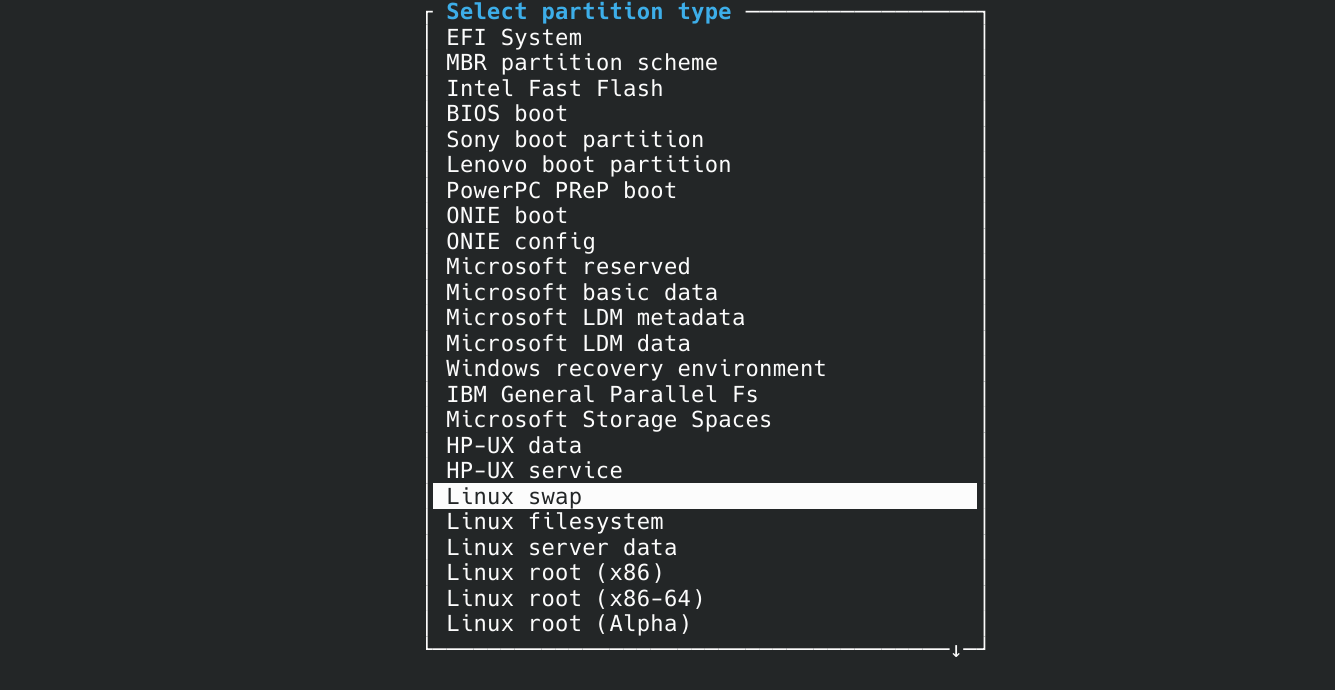 Linux swap type